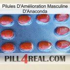 Anaconda Male Enhancement Pills 06